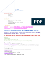 Histología PC3