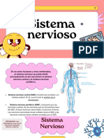 Sistema Nervioso - Síntesis