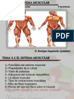 Tema 3 Sistema Muscular 2