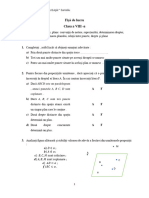 Puncte Drepte Plane - Cls VIII - Fisa de Lucru