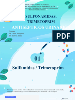 Sulfonamidad, Trimetoprim y Antisépticos Urinarios