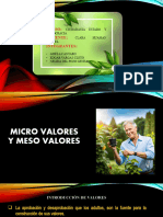 Presentación1.Pptxmeso Valores y Micro Valores