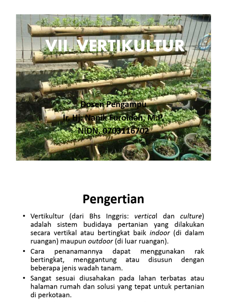 Teknik Vertikultur dalam Pertanian Modern | PDF