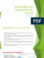 Development of Musculoskeletal System