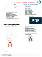 Resumo - Endodontia
