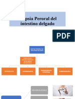 Biopsia Peroral Del Intestino Delgado Por YLEM