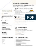 Professional CV Resume