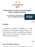 PP2 Drogas Vasoativas2