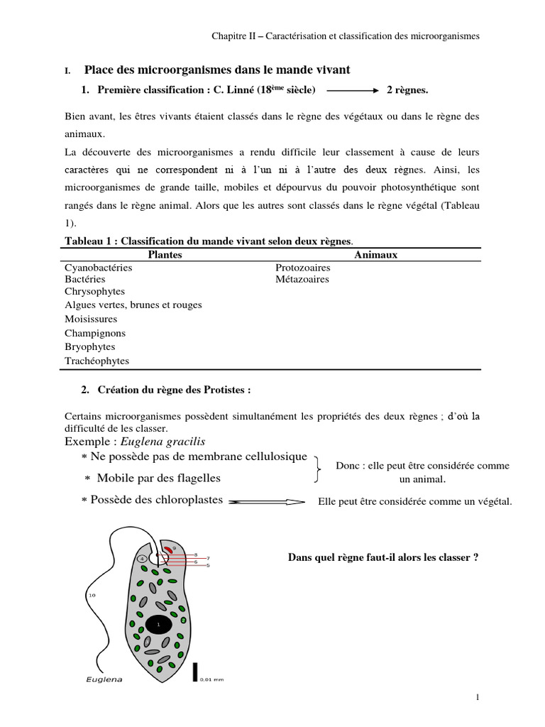 Chapitre 2 PDF | PDF | Cellule (Biologie) | Prokaryota