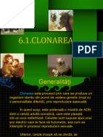 6 1 Clonarea