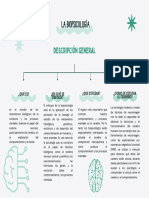 Mapa Conceptual