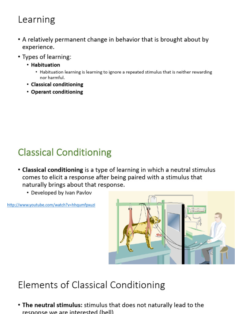 Chapter 6 PDF Classical Conditioning Reinforcement