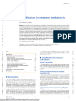 Tumeurs Testiculaires Et Classification