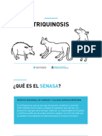 Presentacion Triquinosis