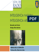 Inteligencianaturaloartificial 090917112913 Phpapp01