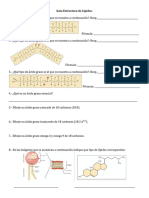 Guía Estructura de Lípidos