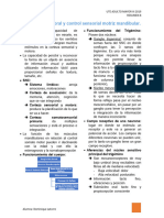 Estereognosis Oral y Control Sensorial Motriz Mandibular