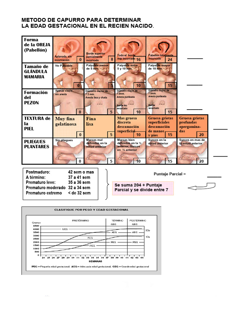 Método Capurro para Edad Gestacional | PDF | Características sexuales ...