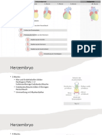 Embryo 1 Testat