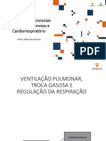 Aula.15 16 - Ventilacao Pulmonar e Problemas Respiratorios