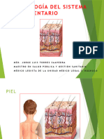 Segunda Unidad Sistema Tegumentario