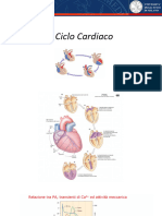 Ciclo Cardiaco 1