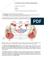 Blood Circulation - 2023.edited