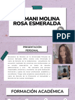 Rosa Esmeralda Huamani Molina PDF