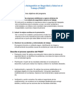 Programa de Autogestión en Seguridad y Salud en El Trabajo (PASST