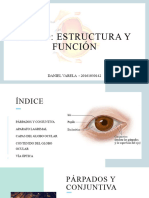 El Ojo