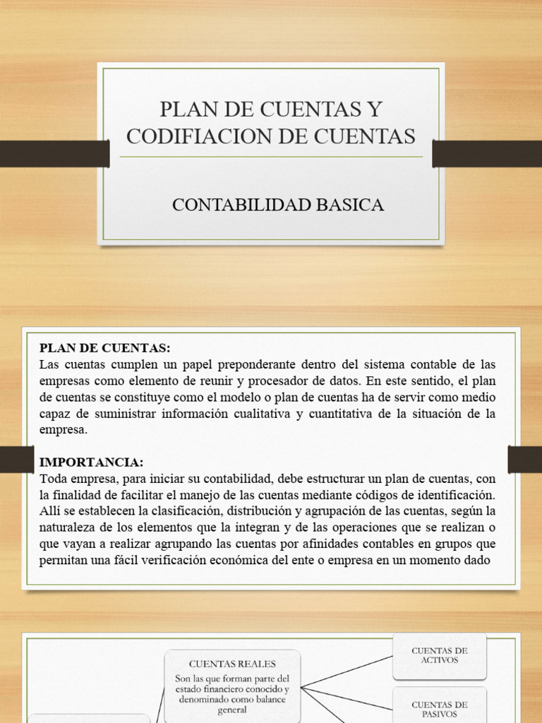 Plan de Cuentas y Codificación Contable | PDF | Contabilidad | Economias