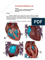 AP - 3 - Anatomia Humana Pronta