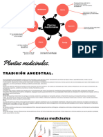 Plantas Medicinales