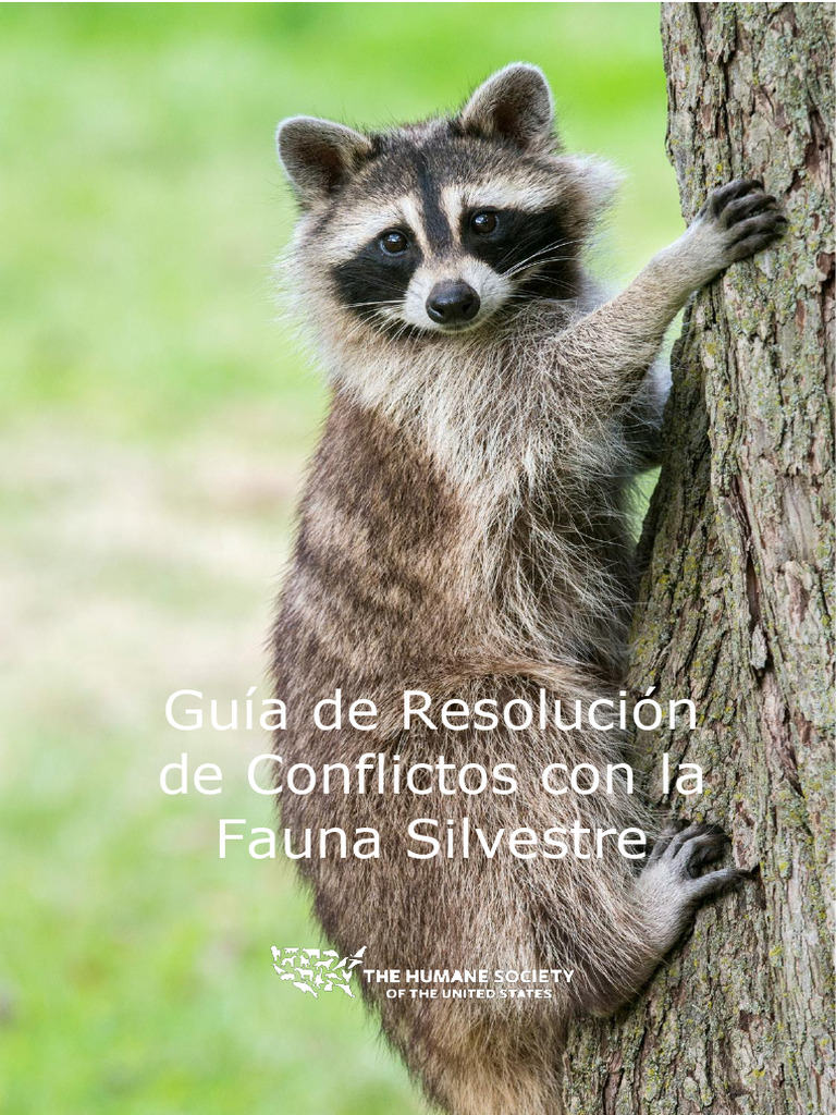 HSUS HumaneWildlifeConflict Guide 2018 ESPANOL-FINAL | PDF | Murciélago ...