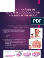 Tema 1. Análisis de Imágenes Citológicas Del Aparato Respiratorio