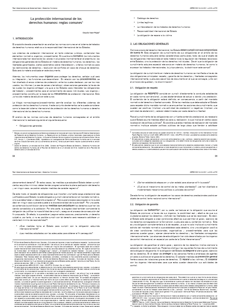 La Protección Internacional de Los DDHH - Nash | PDF | Derechos humanos ...