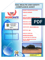Site Audit No 001-Tshaulu - 05 October 2023-1