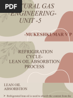 Lean Oil Absorption 02