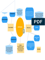 Mapa Mental Rol Contador