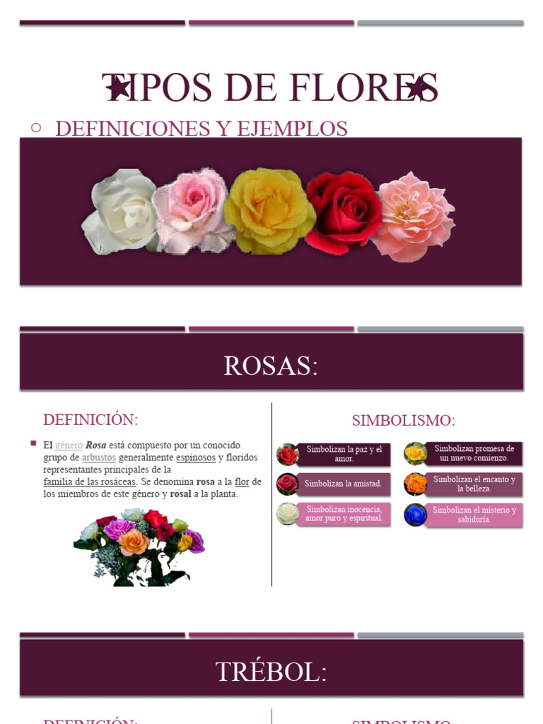Tipos de Flores | PDF | Amor | Rosa