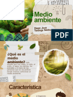 Medio Ambiente - Diego Yaranga