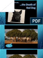 Red Dog Death Scene Analysis