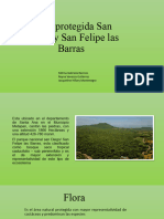 Área Protegida San Diego y San Felipe Las Barras