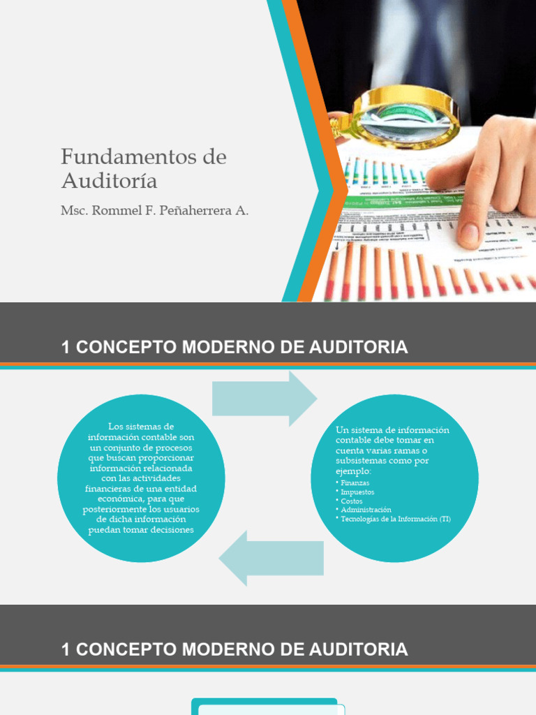 Fundamentos de Auditoría Interna y Externa | PDF | Auditoría | Contralor