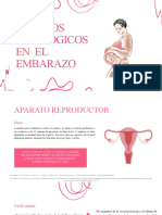 Cambios Fisiologicos en El Embarazo