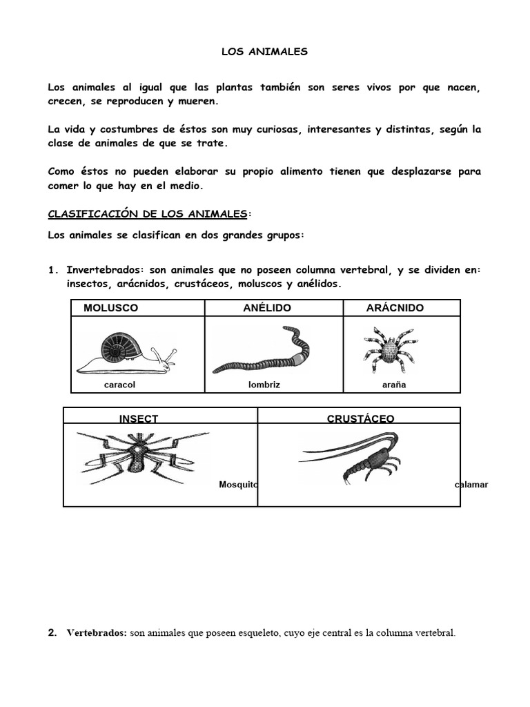 clases-de-animales-para-tercero-de-primaria-pdf-vertebrados