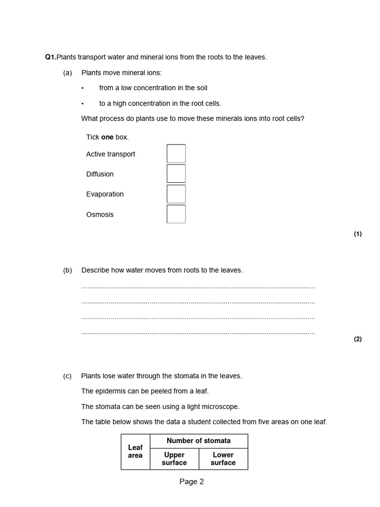 Plant Tissues, Organs Systems 2 QP PDF Stoma Heart