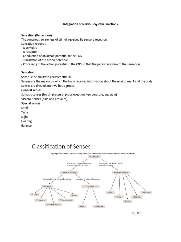 Integration of Nervous System Functions PDF Senses Stimulus