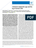 Epigenetic Ageing