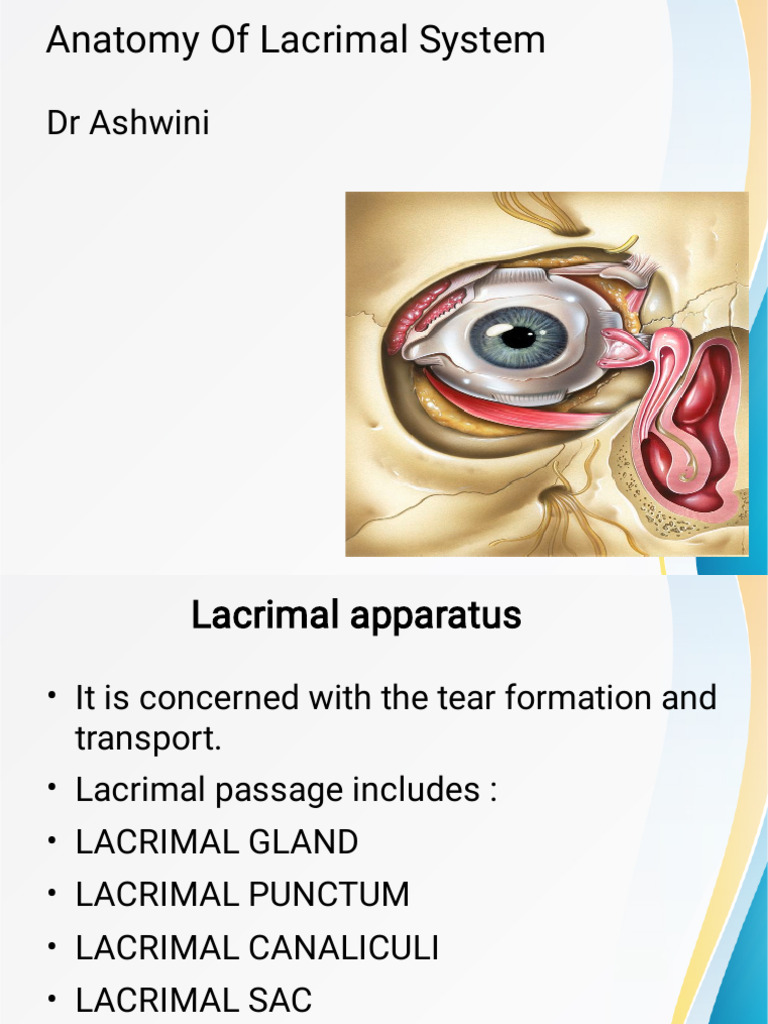 Lacrimal Apparatus - DR Ashwini | PDF | Human Head And Neck | Anatomy